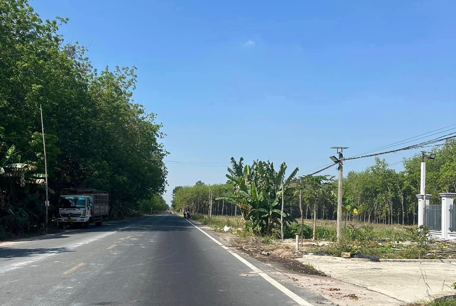 hình ảnh tin tức